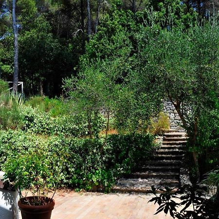 B&B Al Cavalluccio Marino Montemarcello Exterior photo