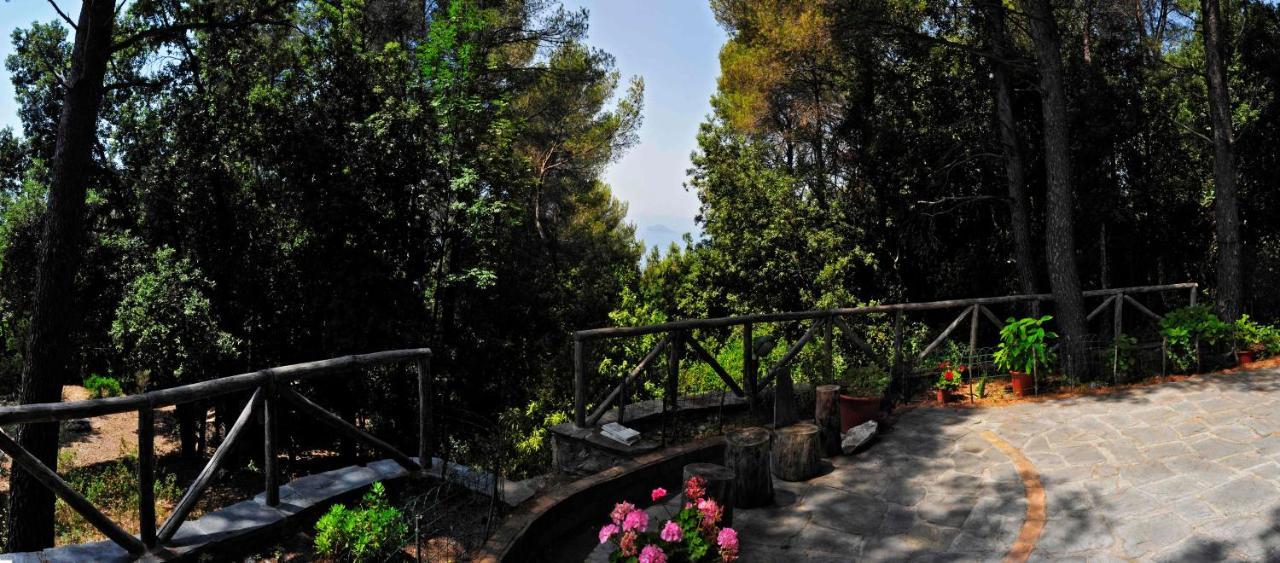 B&B Al Cavalluccio Marino Montemarcello Exterior photo